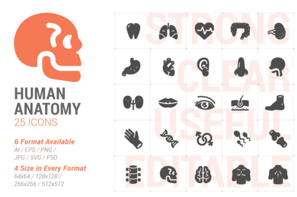 Human Anatomy Filled Icons: A Versatile Design Resource for Modern Projects
